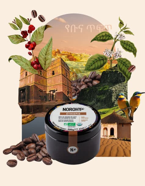 pate de grains de café bio Ethiopie Arabica Norohy