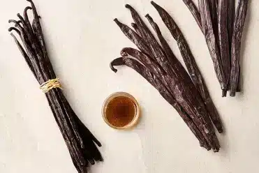 Gousses de vanilles et différences aromatiques