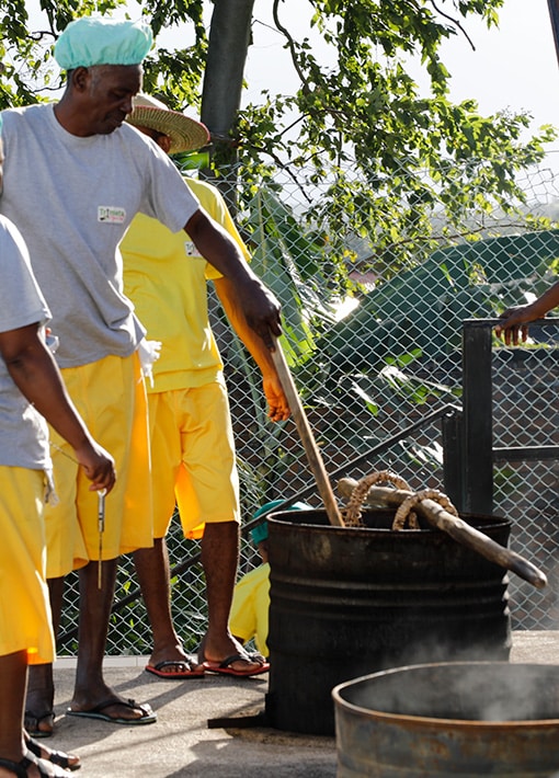Echaudage des gousses vertes de vanille bio de Madagascar