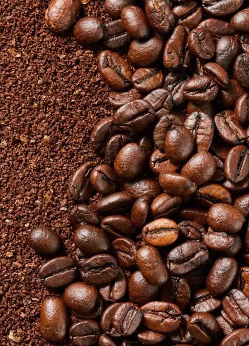 Traitement du café par voie sèche ou voie humide