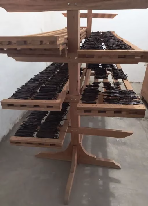 chasseurs de saveurs vanille du mexique