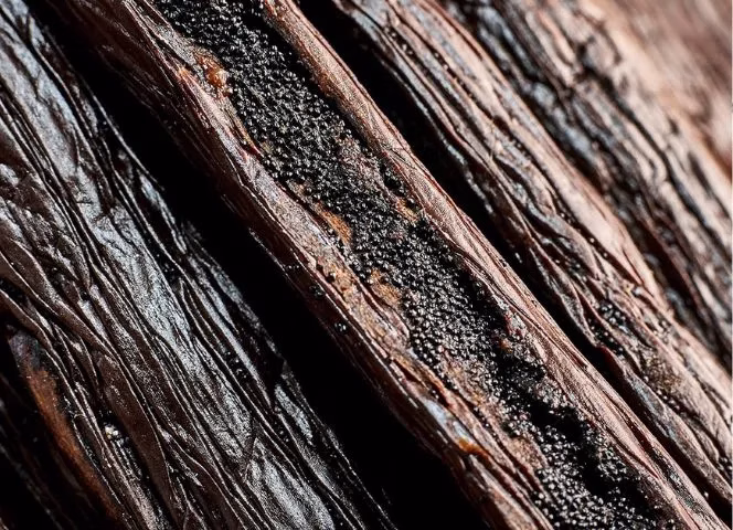 devenir client norohy vanille